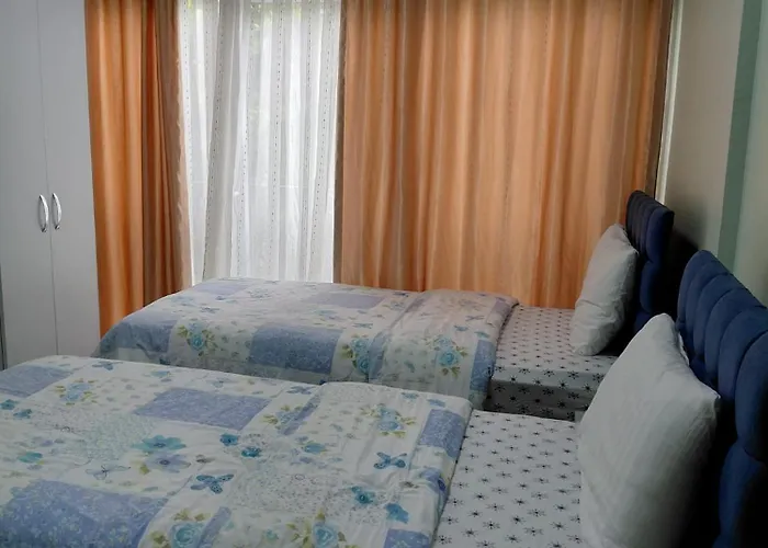 Hotel Volkii Otel1 2*